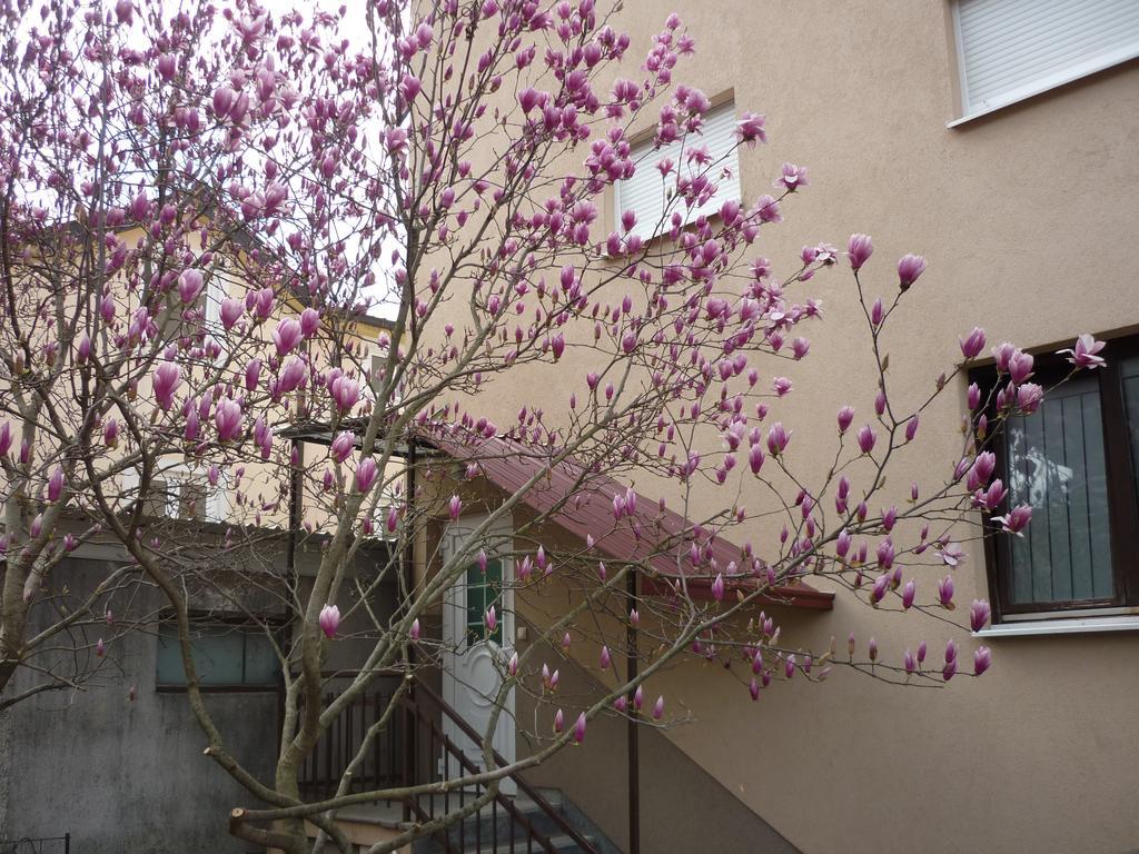 Guest House Ok Međugorje エクステリア 写真